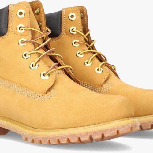 Botte imperméable Timberland pour hommes
